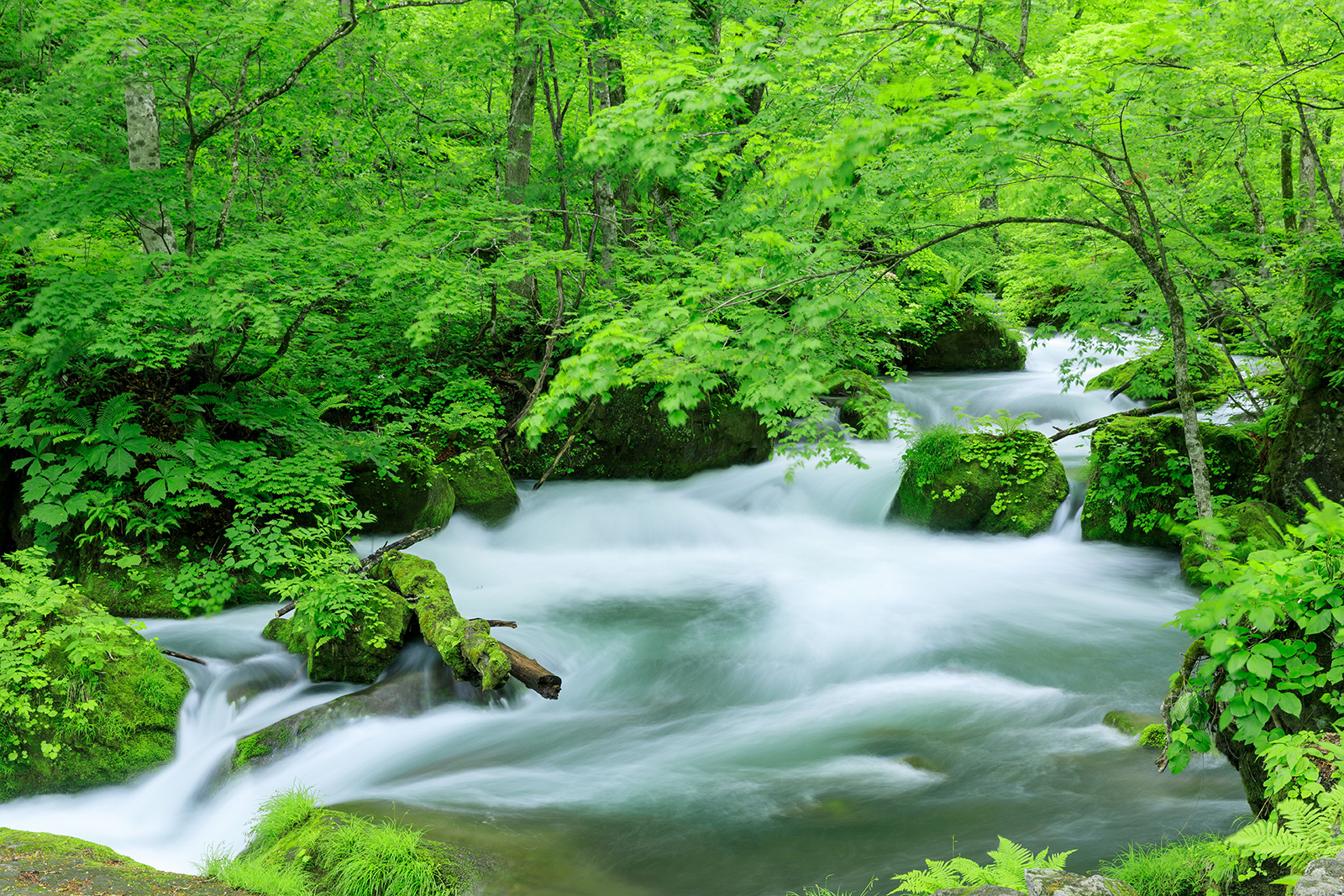 奧入瀨絕景旅行團